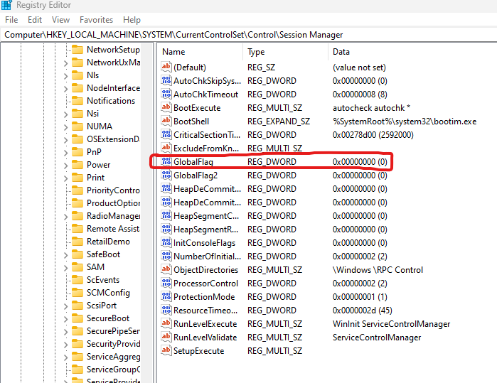 registry-globalflag
